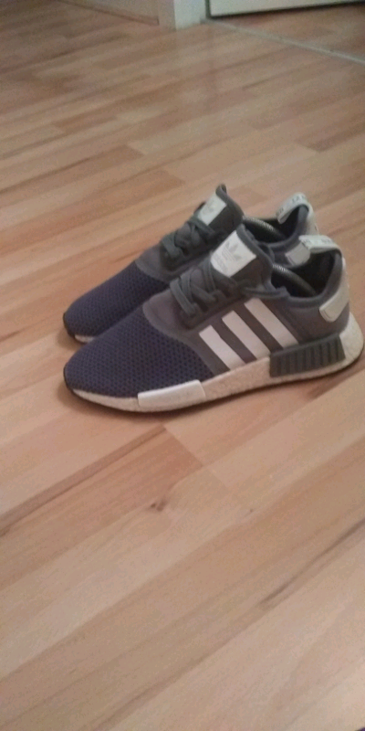 livingston adidas 